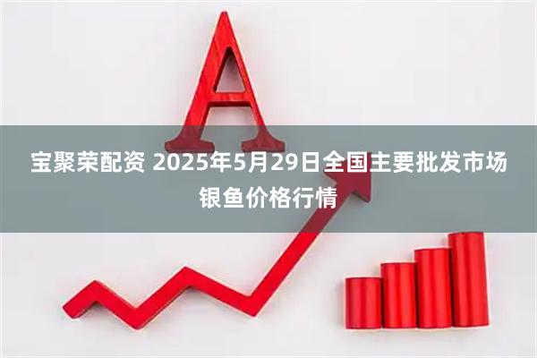 宝聚荣配资 2025年5月29日全国主要批发市场银鱼价格行情