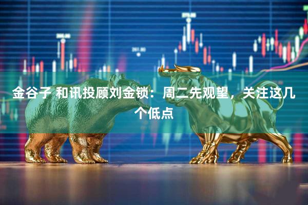 金谷子 和讯投顾刘金锁：周二先观望，关注这几个低点